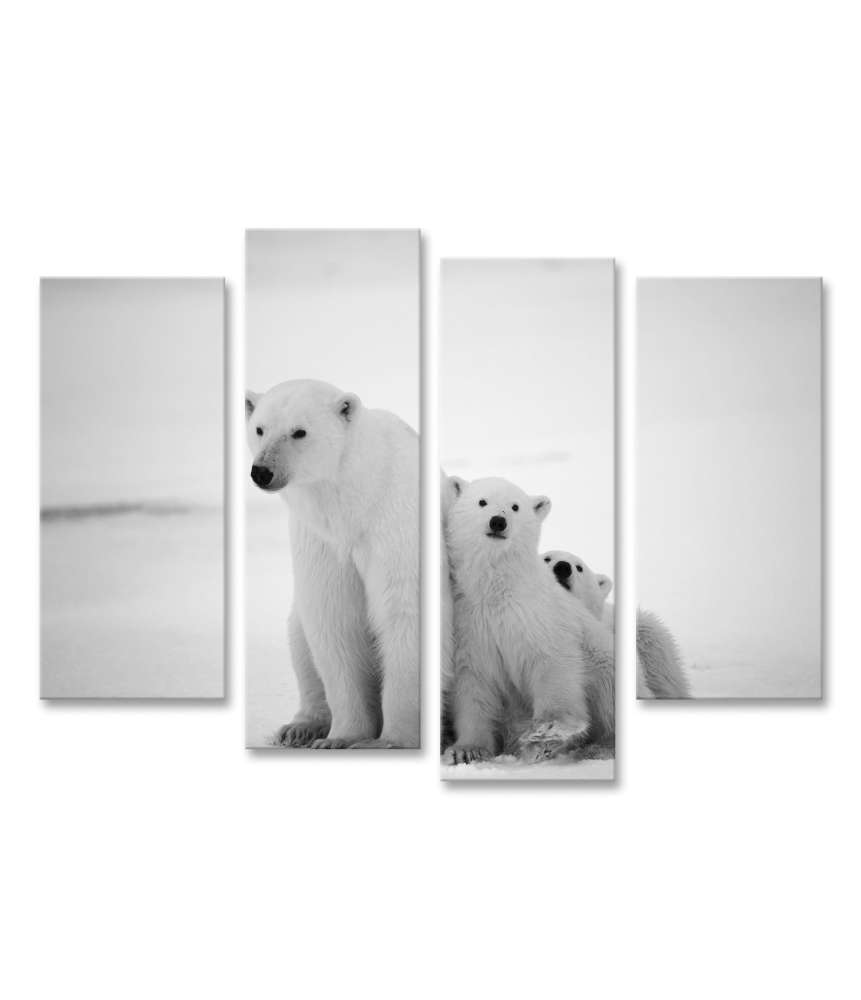 Islandburner Bild auf Leinwand Eisbär-Mutter mit Jungen in der eisigen Arktis - Polarbär Wandbild im Angebot