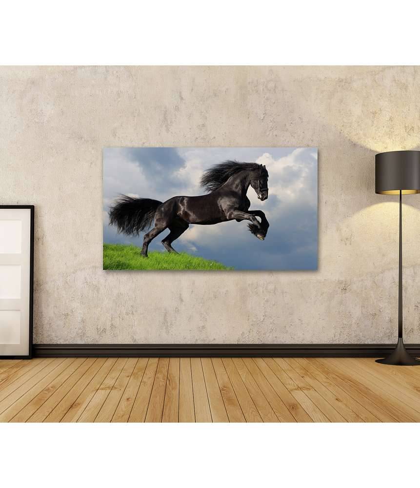 Islandburner Bild auf Leinwand Friesisches Pferd in voller Galopp auf Wandbild dargestellt Saisonschlussverkauf