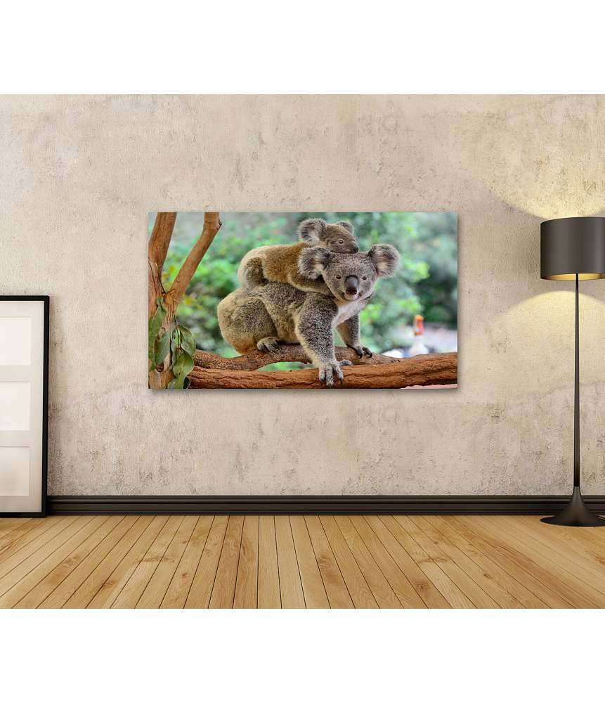 Islandburner Bild auf Leinwand Baby-Koala kuschelt auf dem Rücken seiner Mutter im Eukalyptusbaum Jubiläumsangebot