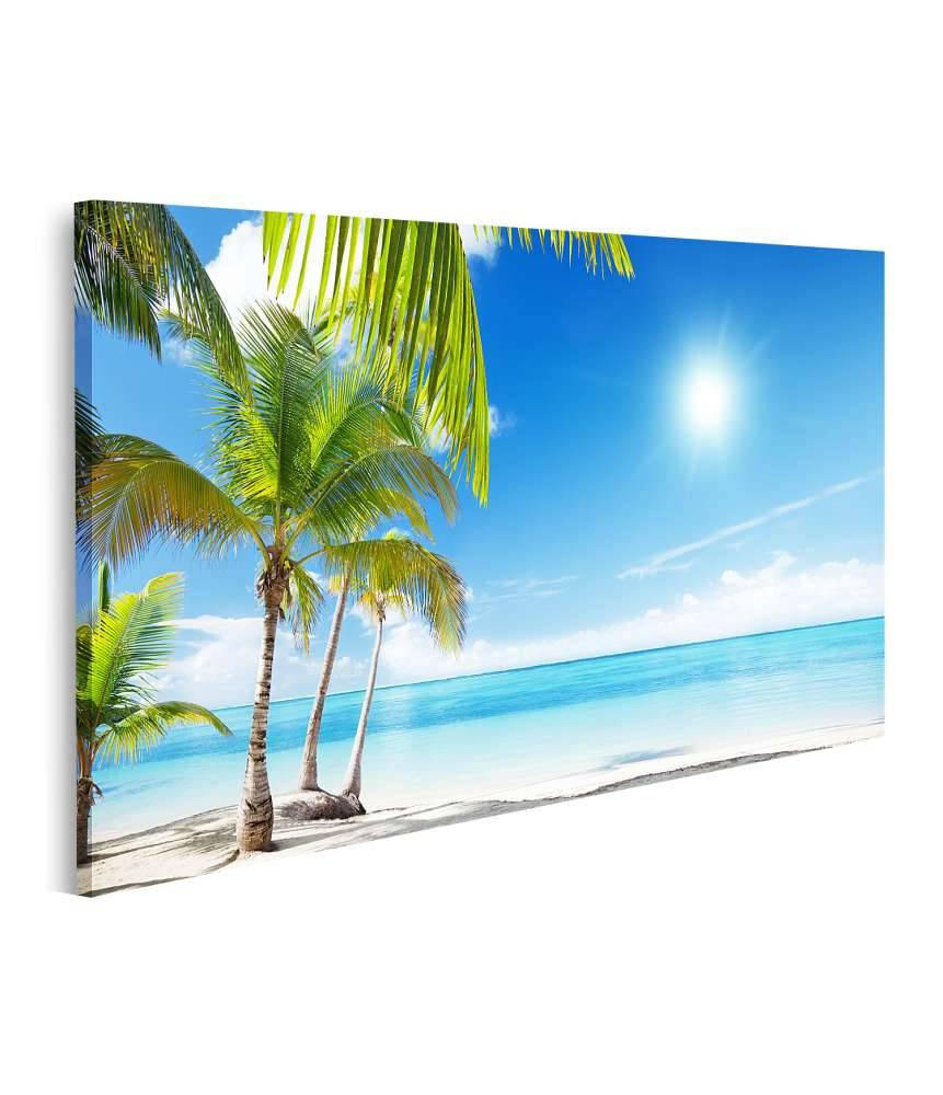 Islandburner Bild auf Leinwand Karibischer Strand mit Palmen am azurblauen Meer Exklusive Angebote