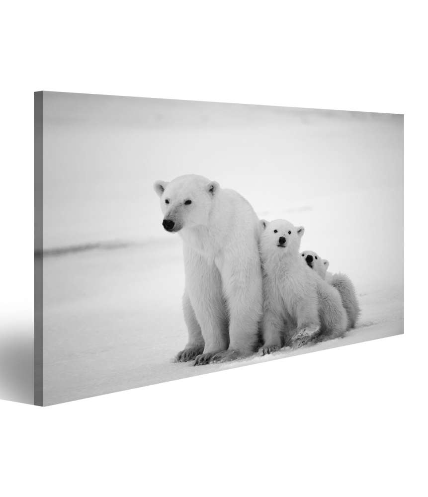 Islandburner Bild auf Leinwand Eisbär-Mutter mit Jungen in der eisigen Arktis - Polarbär Wandbild Blitzangebot
