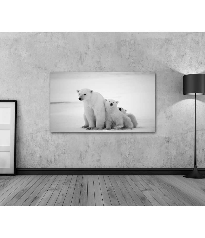 Islandburner Bild auf Leinwand Eisbär-Mutter mit Jungen in der eisigen Arktis - Polarbär Wandbild Blitzangebot