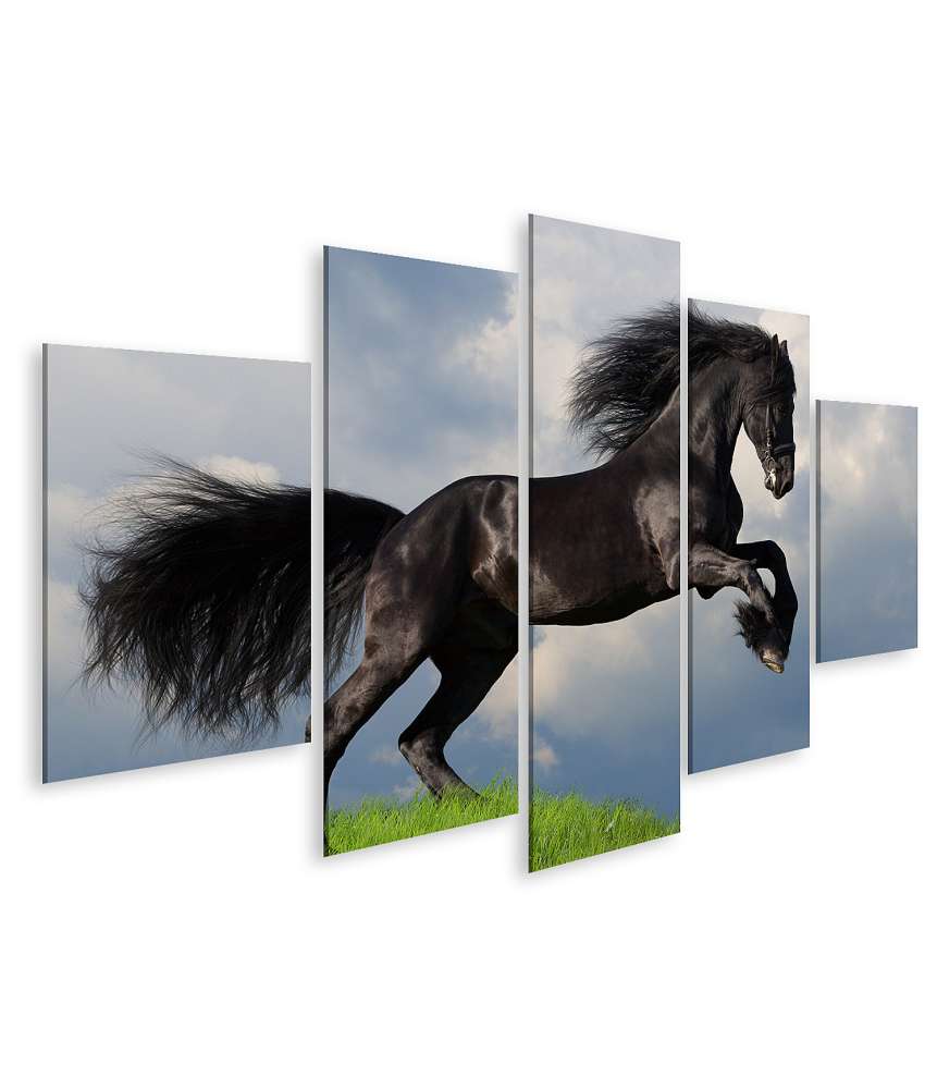 Islandburner Bild auf Leinwand Friesisches Pferd in voller Galopp auf Wandbild dargestellt VIP-Rabatte