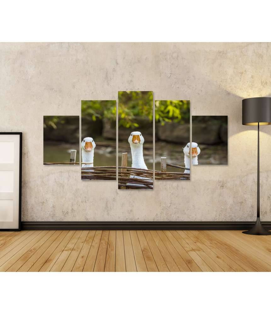 Islandburner Bild auf Leinwand Drei heitere weiße Gänse hinter einem Flechtzaun auf einem Wandbild Letzte 3 Tage