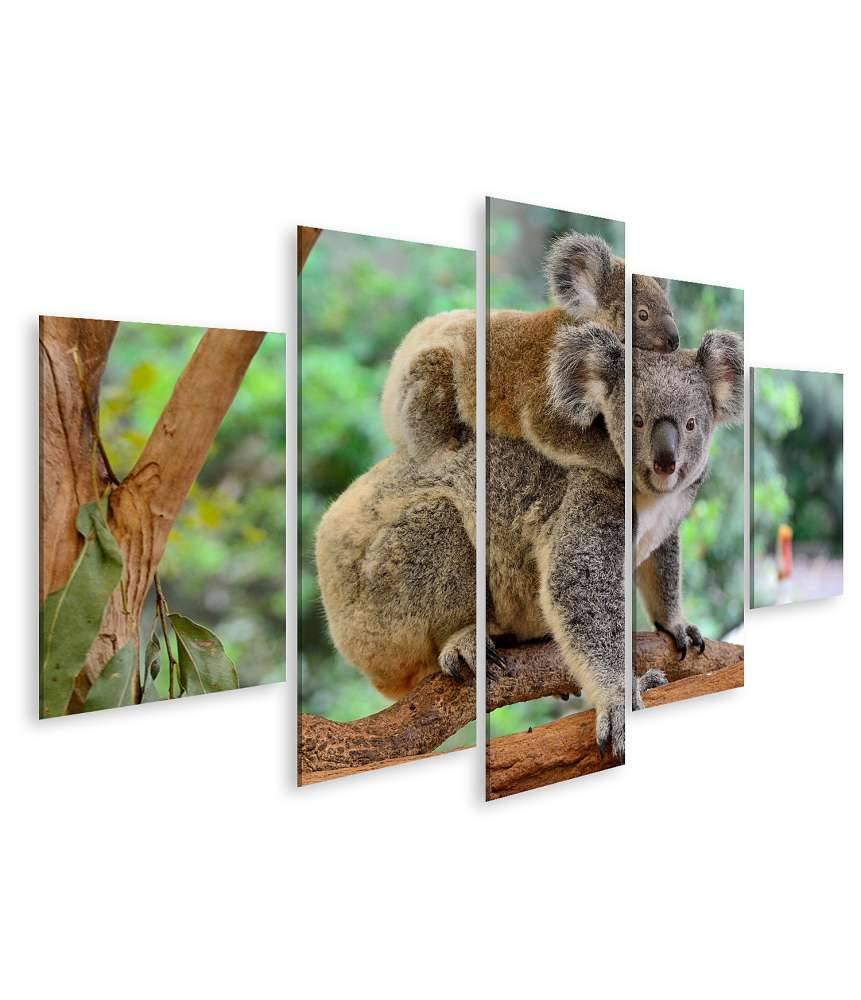 Islandburner Bild auf Leinwand Baby-Koala kuschelt auf dem Rücken seiner Mutter im Eukalyptusbaum Neueste Stile
