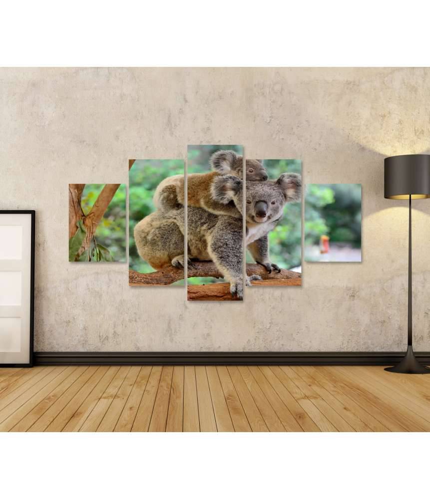 Islandburner Bild auf Leinwand Baby-Koala kuschelt auf dem Rücken seiner Mutter im Eukalyptusbaum Neueste Stile