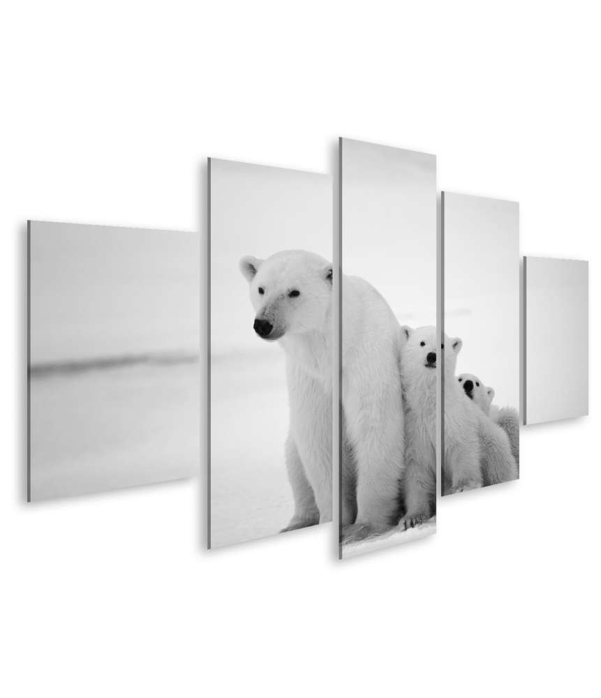 Islandburner Bild auf Leinwand Eisbär-Mutter mit Jungen in der eisigen Arktis - Polarbär Wandbild Sonderangebot der Fabrik