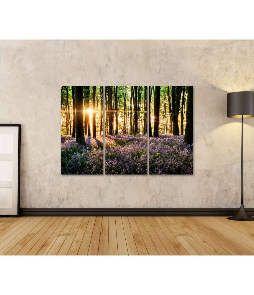 Islandburner Bild auf Leinwand Morgenlicht erweckt blühende Glockenblumen im Wald zum Leben Online