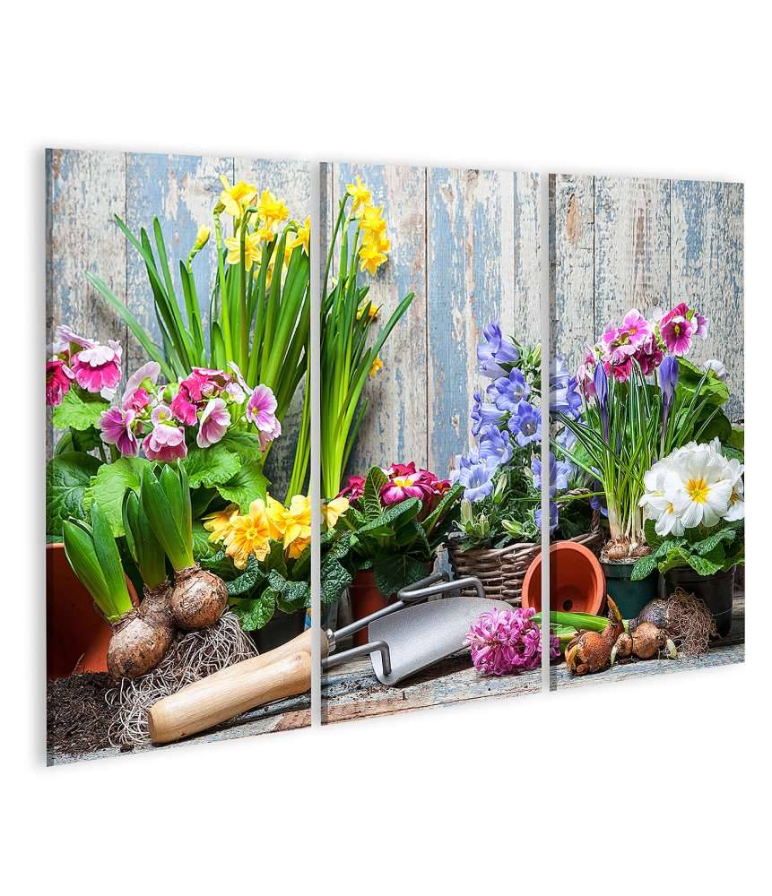 Islandburner Bild auf Leinwand Buntes Wandbild von Garten mit Frühlingsblumen für Hobbygärtner Auslauf