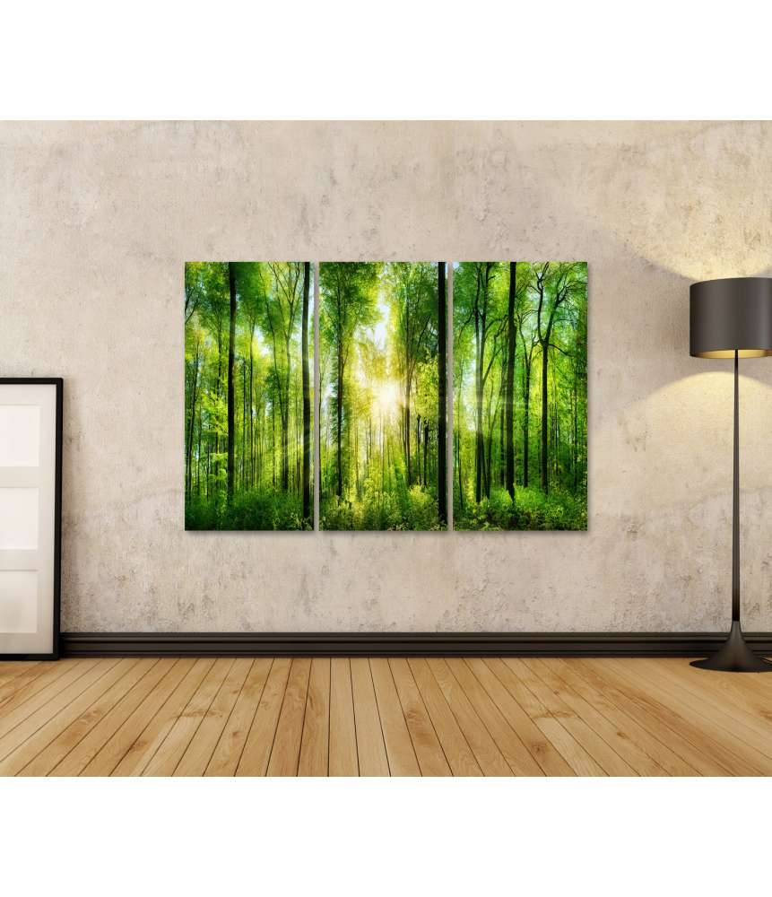 Islandburner Bild auf Leinwand Panoramabild eines frischgrünen Waldes mit Sonnenstrahlen durch Laubbäume Angebote