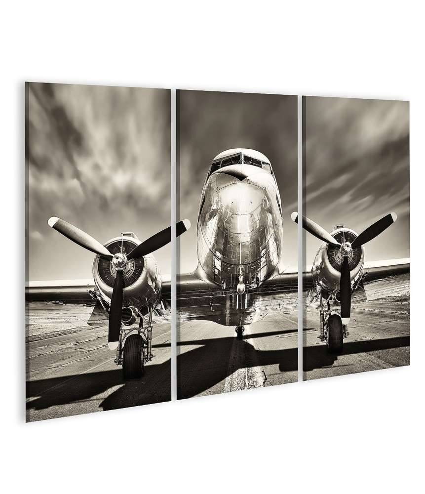 Islandburner Bild auf Leinwand Monochromes Retro-Wandbild eines Propellerflugzeugs Günstiger Verkauf
