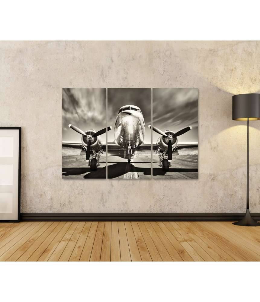 Islandburner Bild auf Leinwand Monochromes Retro-Wandbild eines Propellerflugzeugs Günstiger Verkauf