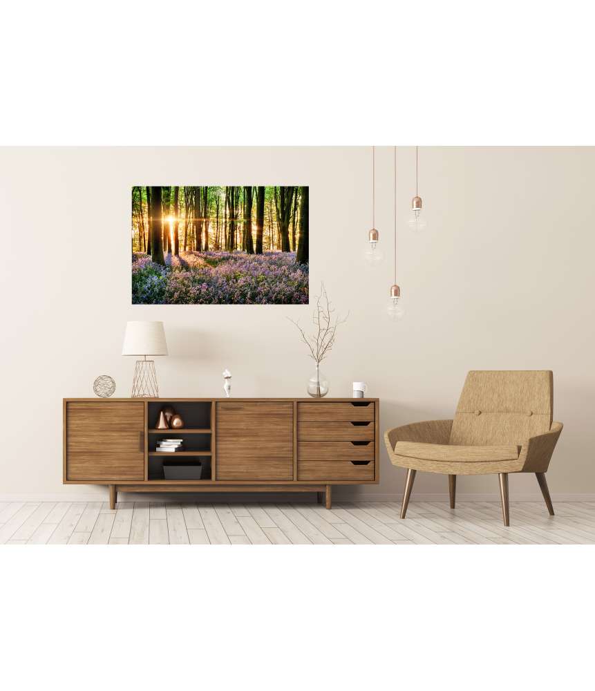 Islandburner XXL Premium Poster Morgenlicht erweckt blühende Glockenblumen im Wald zum Leben Kauf eins, bekomm eins gratis