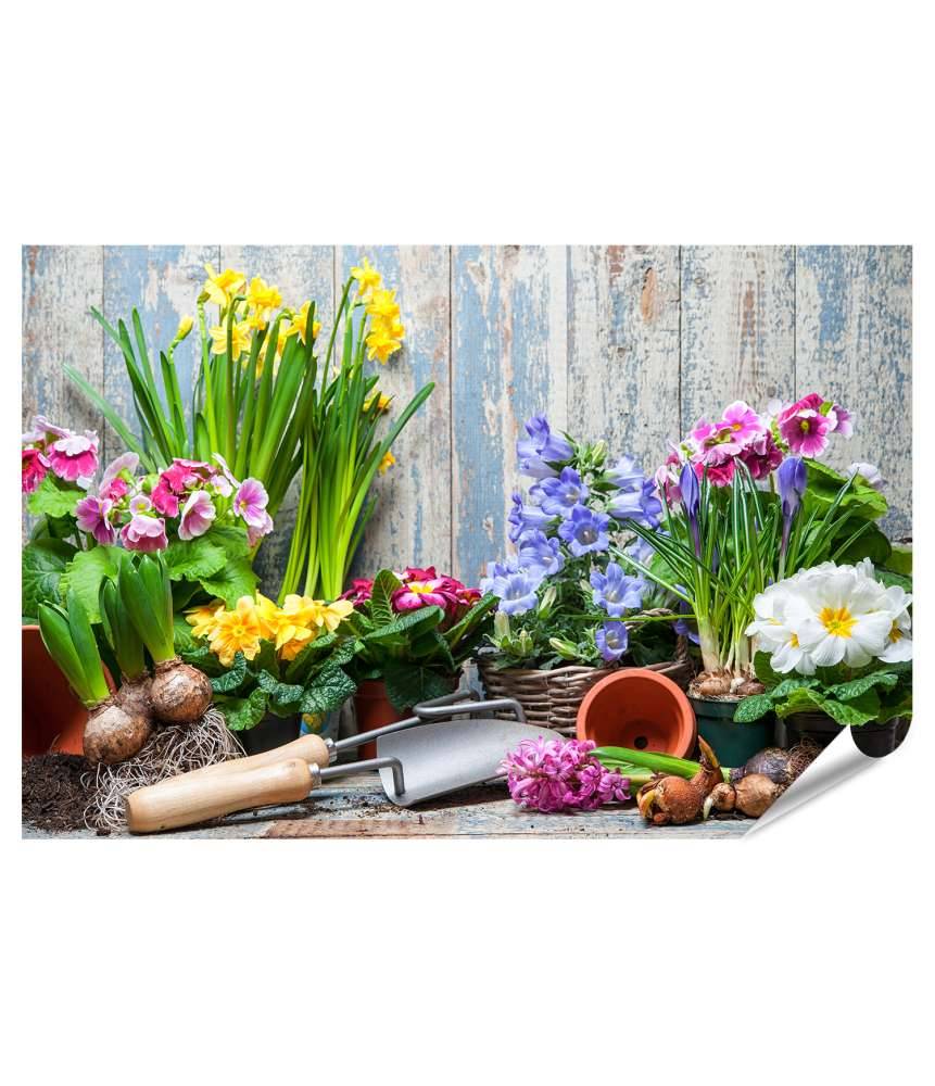 Islandburner XXL Premium Poster Buntes Wandbild von Garten mit Frühlingsblumen für Hobbygärtner Sonderangebote