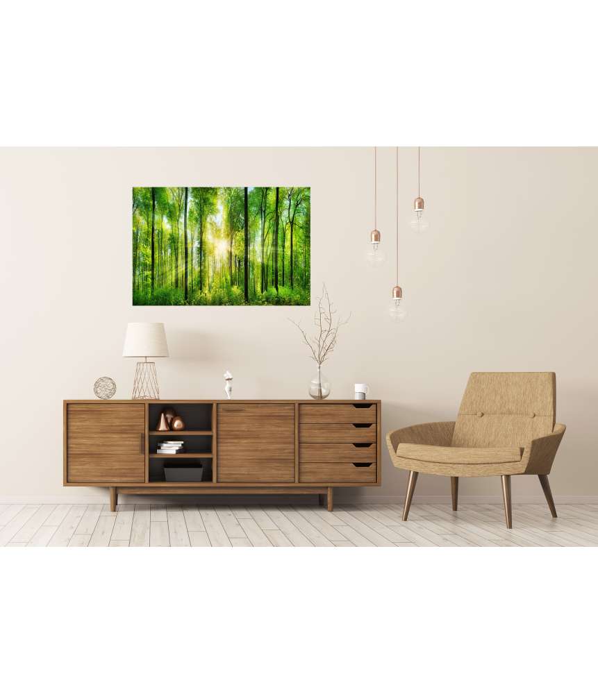 Islandburner XXL Premium Poster Panoramabild eines frischgrünen Waldes mit Sonnenstrahlen durch Laubbäume VIP-Rabatte
