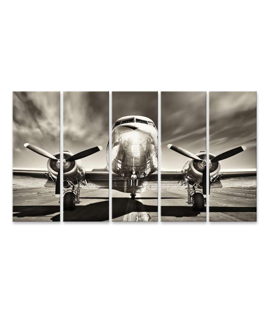 Islandburner Bild auf Leinwand Monochromes Retro-Wandbild eines Propellerflugzeugs Vierteljährliche Förderung