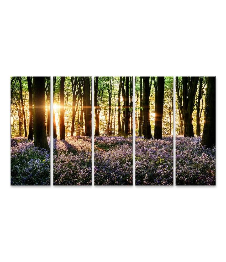 Islandburner Bild auf Leinwand Morgenlicht erweckt blühende Glockenblumen im Wald zum Leben Rabatte dieses Monats