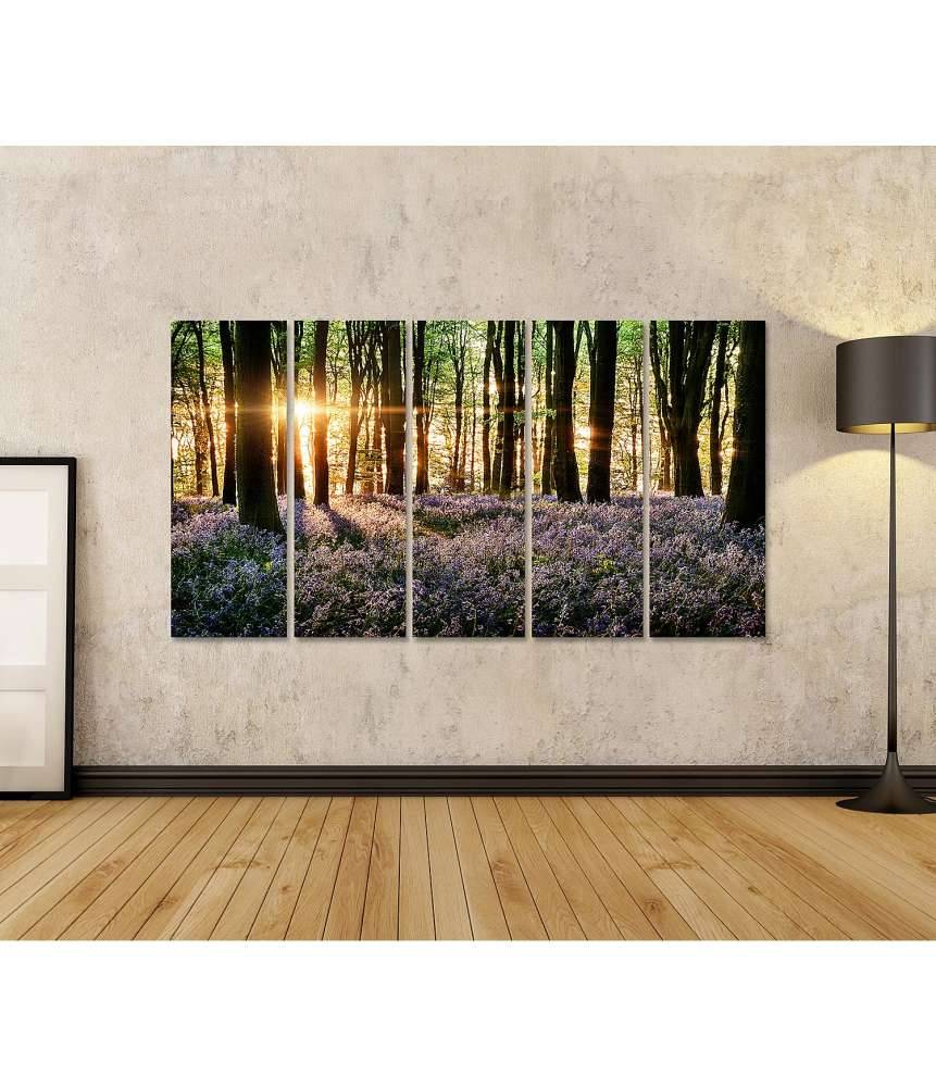 Islandburner Bild auf Leinwand Morgenlicht erweckt blühende Glockenblumen im Wald zum Leben Rabatte dieses Monats