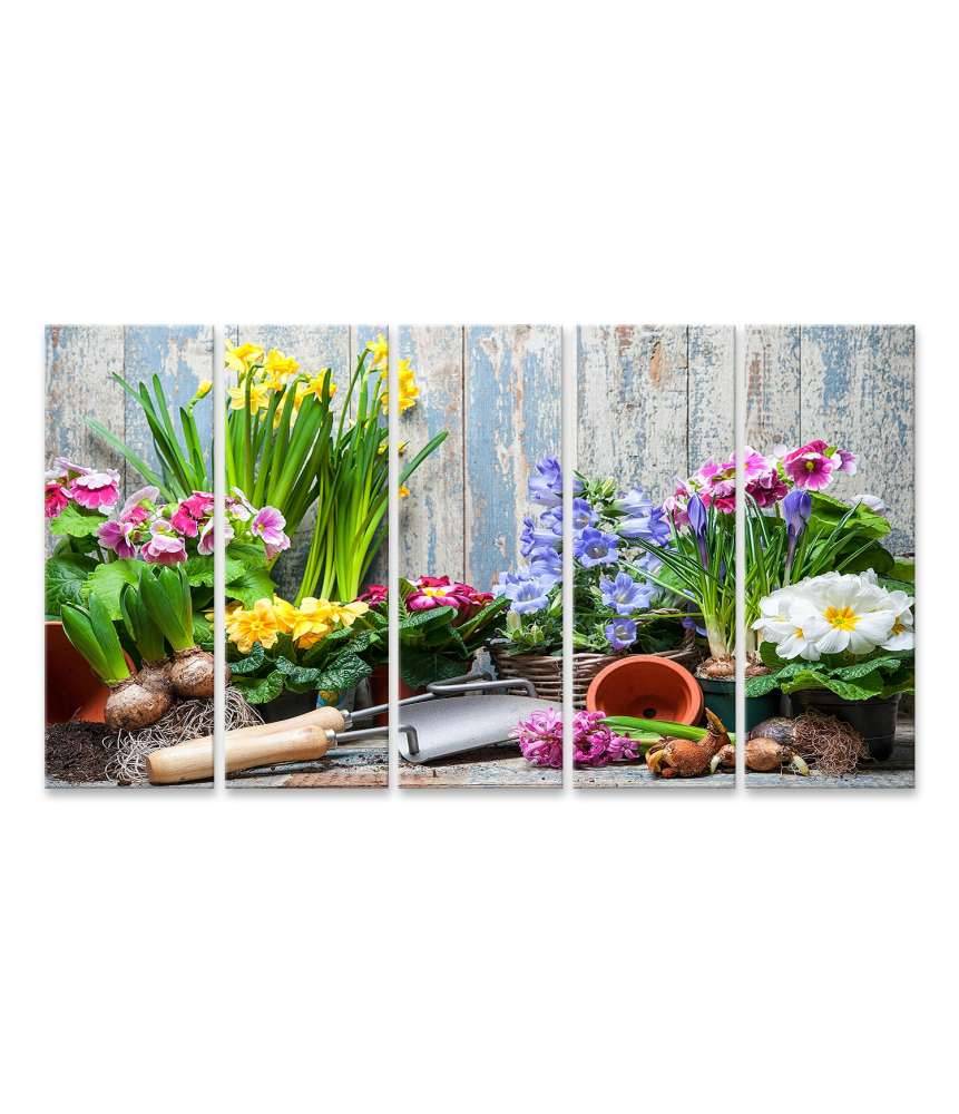 Islandburner Bild auf Leinwand Buntes Wandbild von Garten mit Frühlingsblumen für Hobbygärtner Online