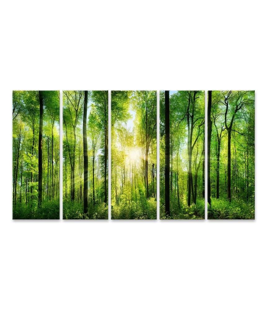 Islandburner Bild auf Leinwand Panoramabild eines frischgrünen Waldes mit Sonnenstrahlen durch Laubbäume Auslauf