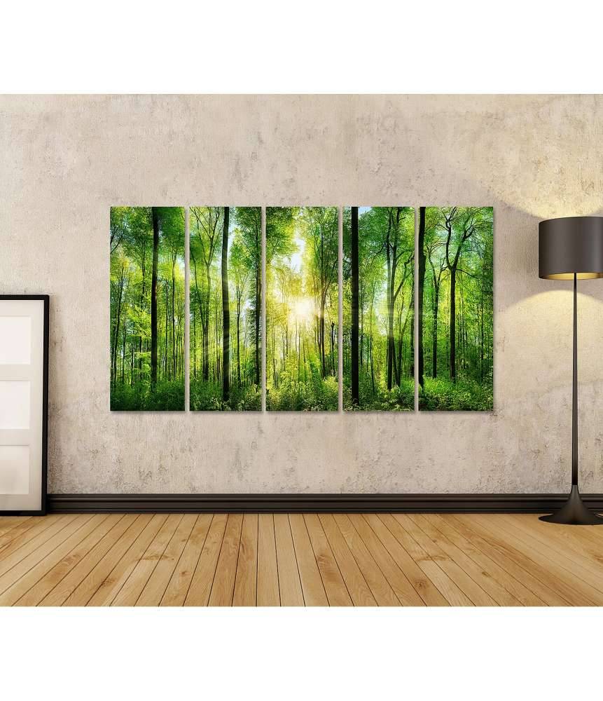 Islandburner Bild auf Leinwand Panoramabild eines frischgrünen Waldes mit Sonnenstrahlen durch Laubbäume Auslauf