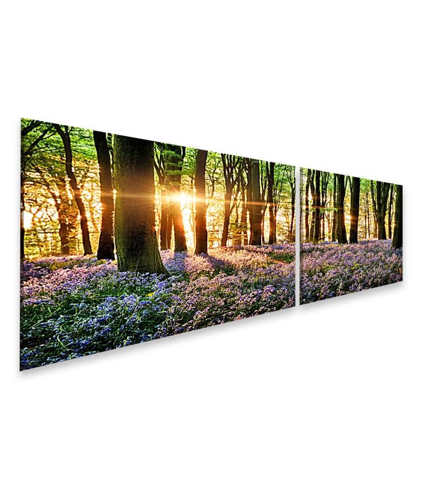 Islandburner Bild auf Leinwand Morgenlicht erweckt blühende Glockenblumen im Wald zum Leben Meist gekauft