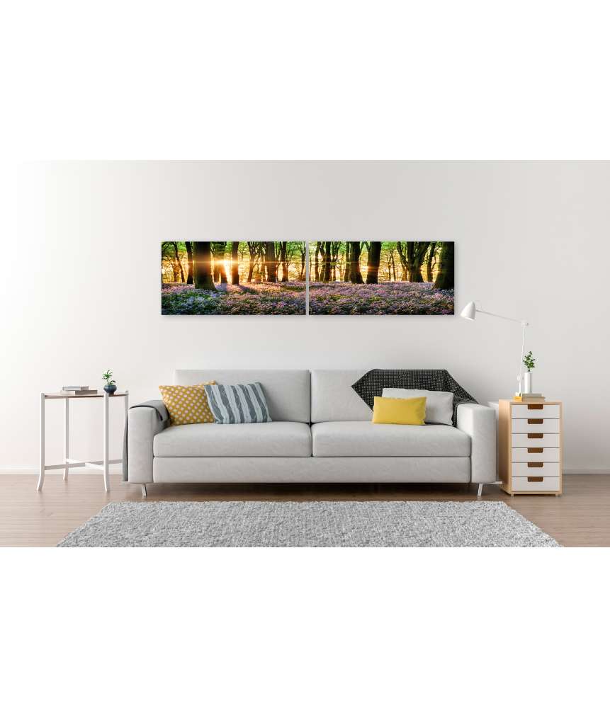 Islandburner Bild auf Leinwand Morgenlicht erweckt blühende Glockenblumen im Wald zum Leben Meist gekauft