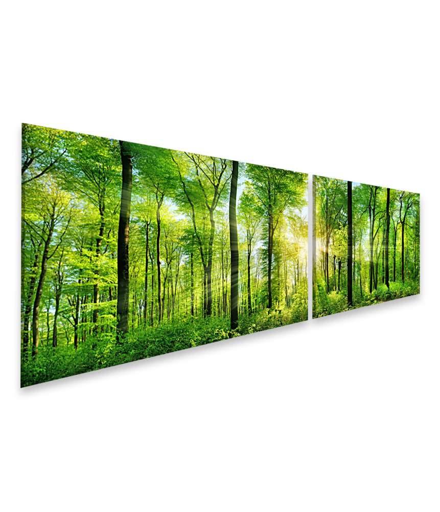 Islandburner Bild auf Leinwand Panoramabild eines frischgrünen Waldes mit Sonnenstrahlen durch Laubbäume Fabrik Onlineshop