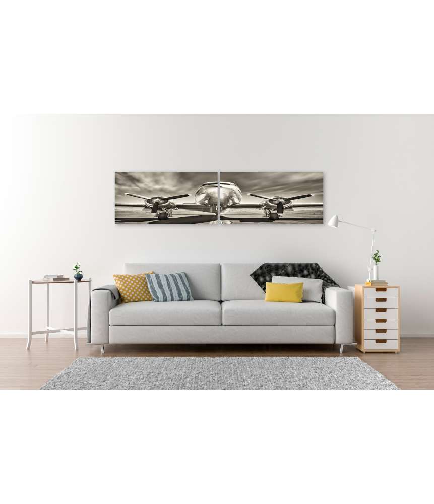 Islandburner Bild auf Leinwand Monochromes Retro-Wandbild eines Propellerflugzeugs Günstig kaufen
