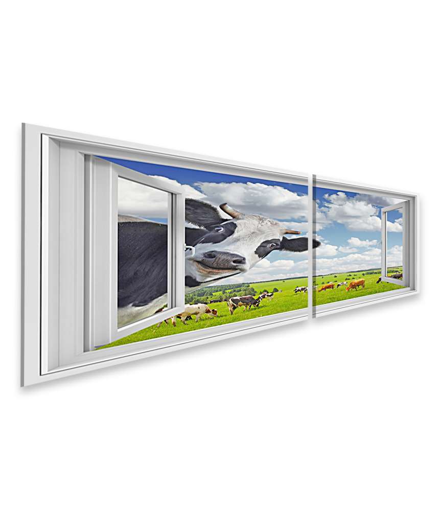 Islandburner Bild auf Leinwand Lustige Kuh blickt in Kamera durch Fenster - Wandbild Exklusivangebot