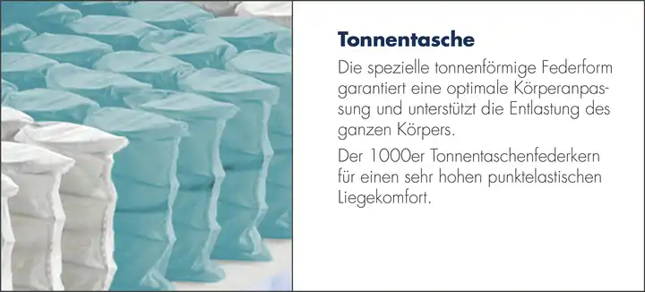 IRISETTE7-Zonen Tonnentaschenfederkern-Matratze IRISETTE Sylt TTFK Verkauf