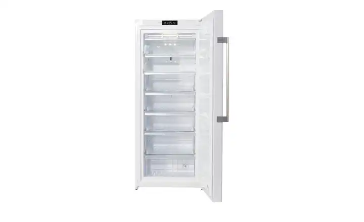 BauknechtStandgefrierschrank GKN 272 A3+ Fabrikpreis