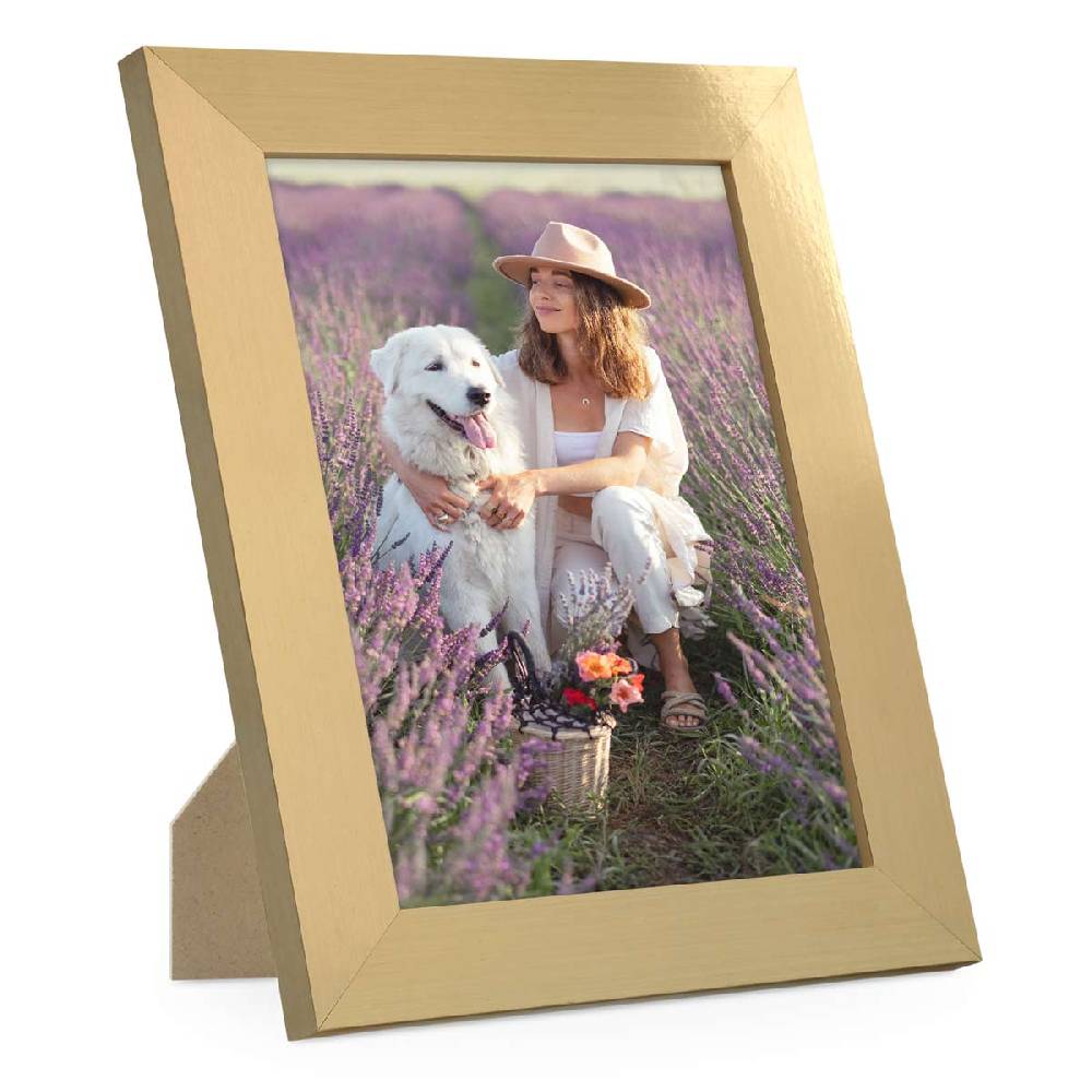 Photolini Bilderrahmen Basic Collection Modern Gold Begrenztes Angebot