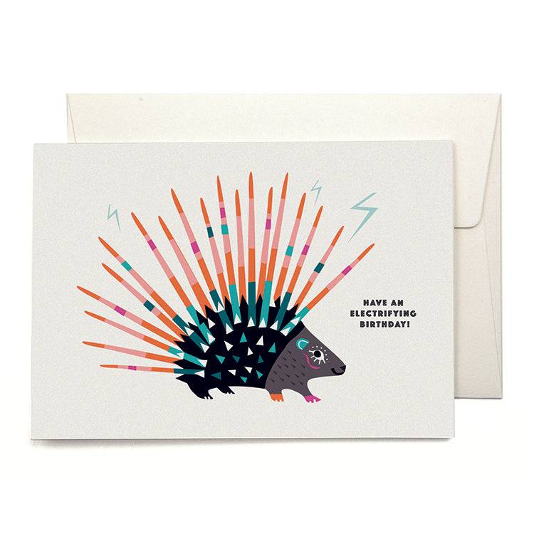 Pleased To Meet VIVA Porcupine Grusskarte Fabrikladen