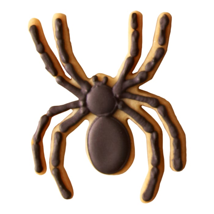 Rbv Birkmann Spinne | 9 cm 2025