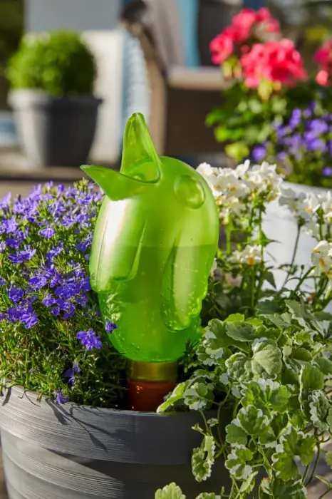 Scheurich Bördy Indoor Wasserspeicher Riesige Rabatte