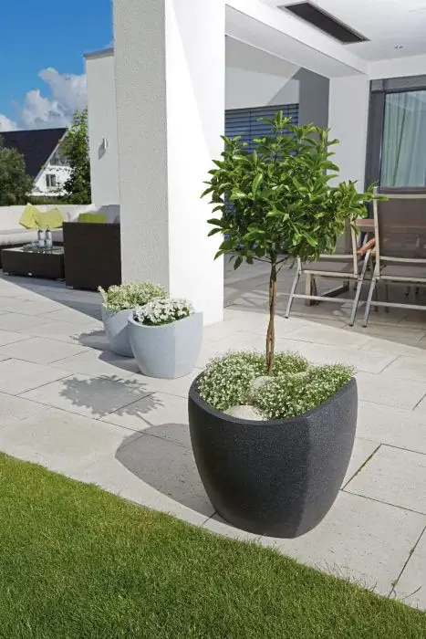 Scheurich Wave Globe Cubo Pflanzgefäß 256 - Schwarz-Granit/40 Fabrikverkauf