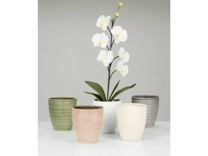 Scheurich Orchideentopf 15/667 Pflanzgefäß Muttertagsangebot