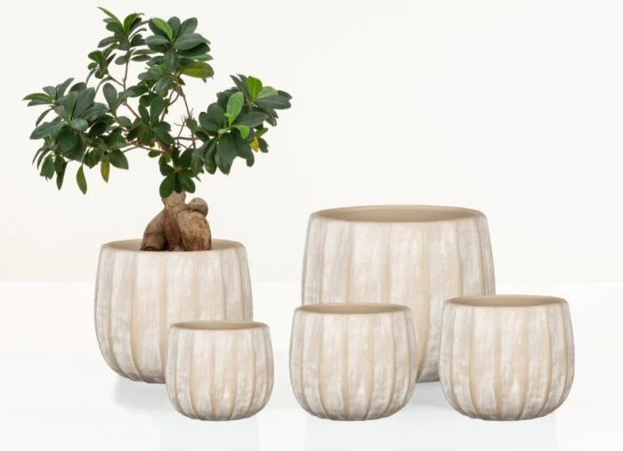 Scheurich Natural Surfaces Übertopf 784 Räumungsverkauf