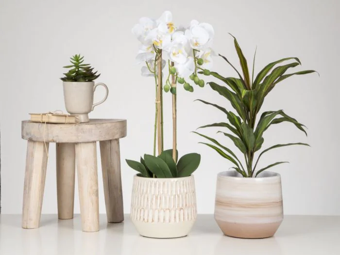 Scheurich Natural Surfaces Übertopf 785 Kauf eins, bekomm eins gratis