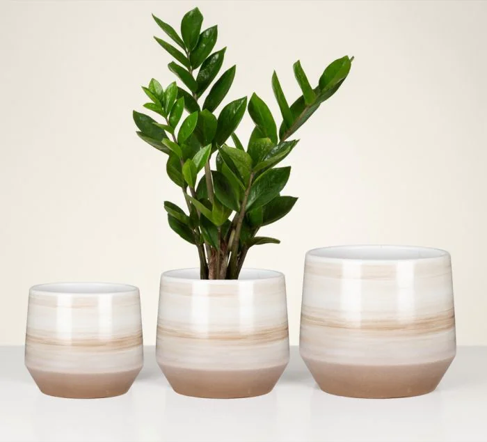 Scheurich Natural Surfaces Übertopf 786 Tägliche Deals