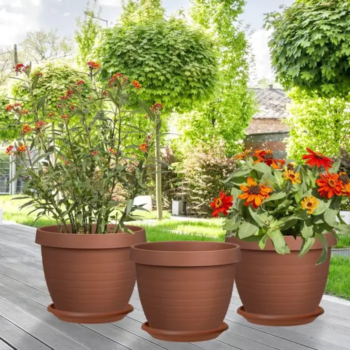 Scheurich Country Star 3er Blumentopf Set mit Untersetzern - Terracotta Nur für heute