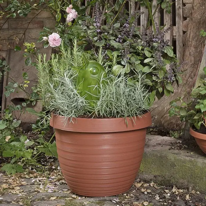 Scheurich Country Star 3er Blumentopf Set mit Untersetzern - Terracotta Nur für heute