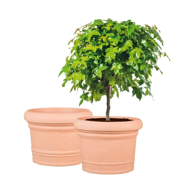 Scheurich Formia 2er Blumentöpfe Set - Terracotta Vierteljährliche Förderung