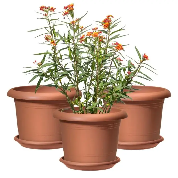 Scheurich Oliver 3er Blumentöpfe Set Oliver mit Untersetzern - Terracotta Nur noch ein Tag übrig
