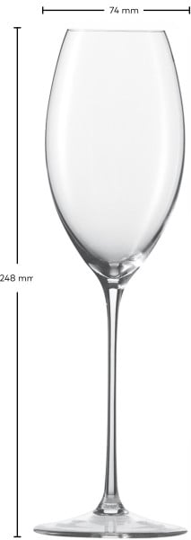 Schott Zwiesel Champagnerglas Enoteca Discount Store für neue Produkte