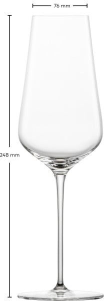 Schott Zwiesel Champagnerglas Duo Angebote