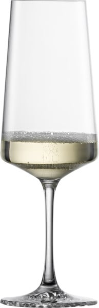 Schott Zwiesel Champagnerglas Echo Black Friday