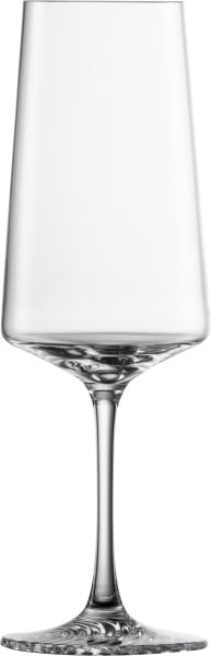 Schott Zwiesel Champagnerglas Echo Black Friday