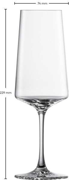Schott Zwiesel Champagnerglas Echo Black Friday
